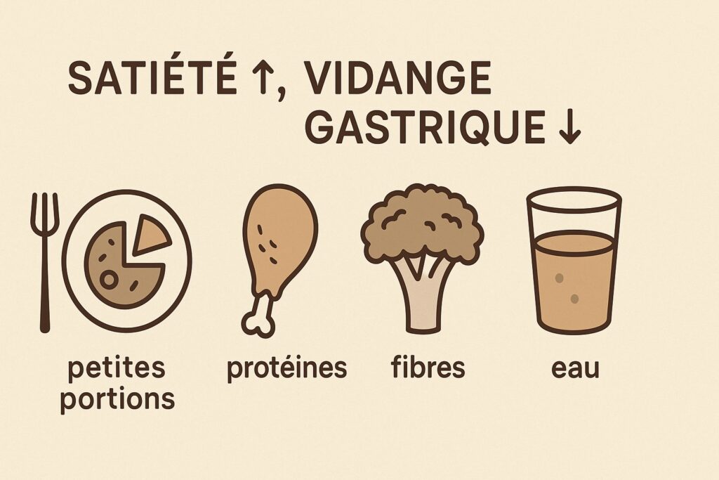 Schéma mécanismes GLP-1 et leviers alimentaires.