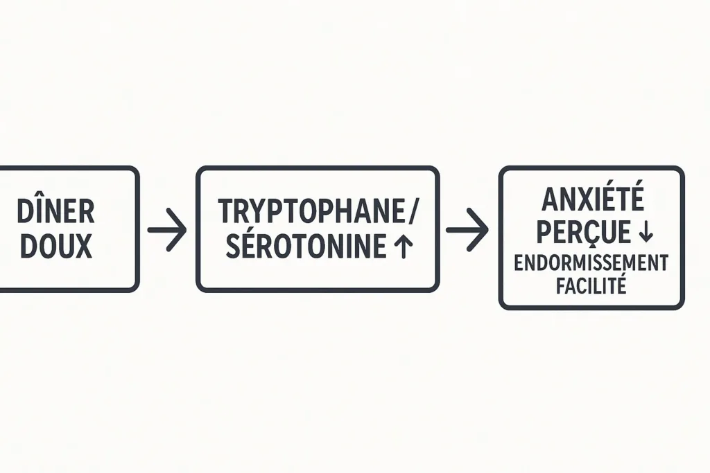 Schéma dîner doux, sérotonine et endormissement.